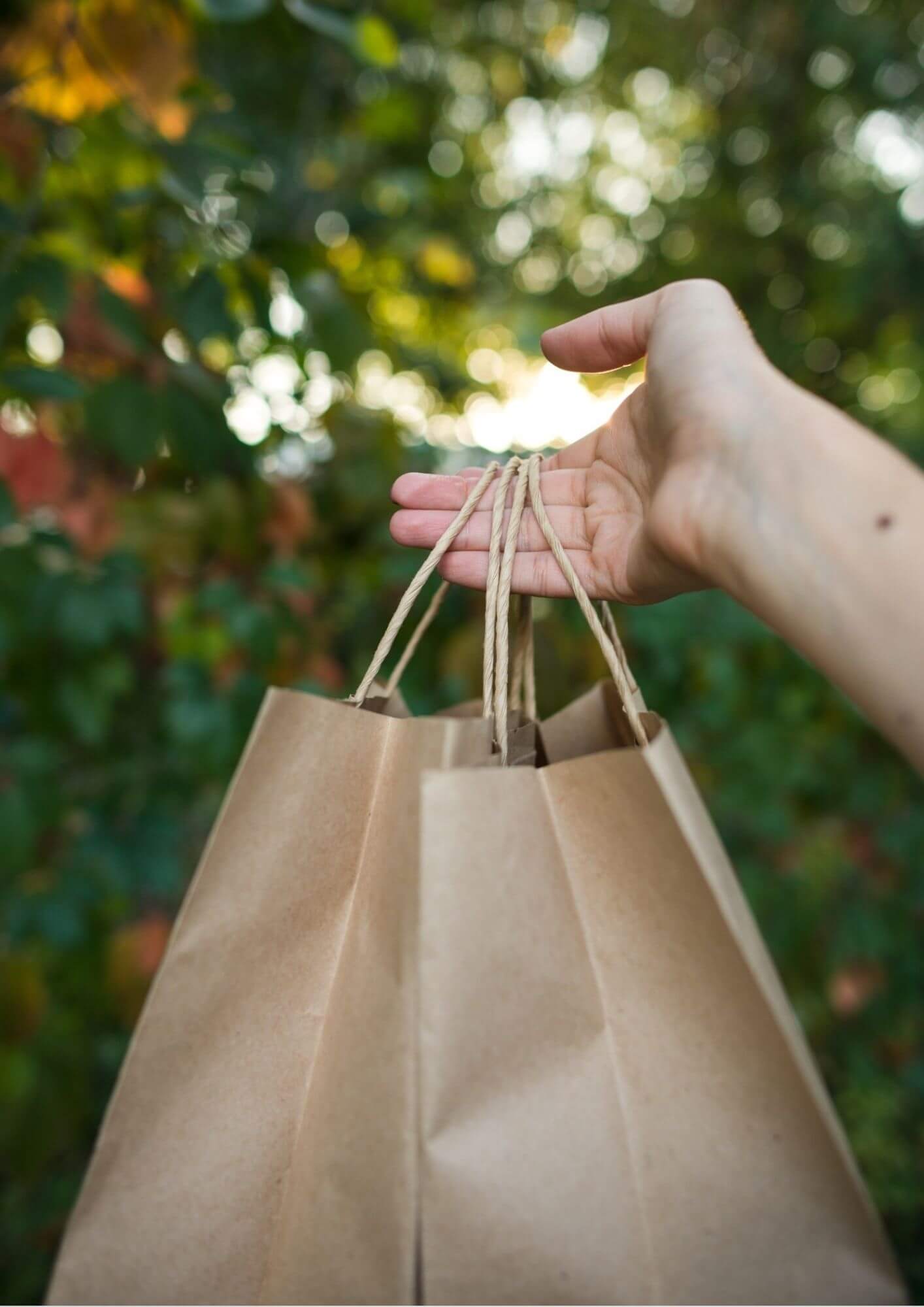 A human hand holding brown twisted handle paper bags in a nature background